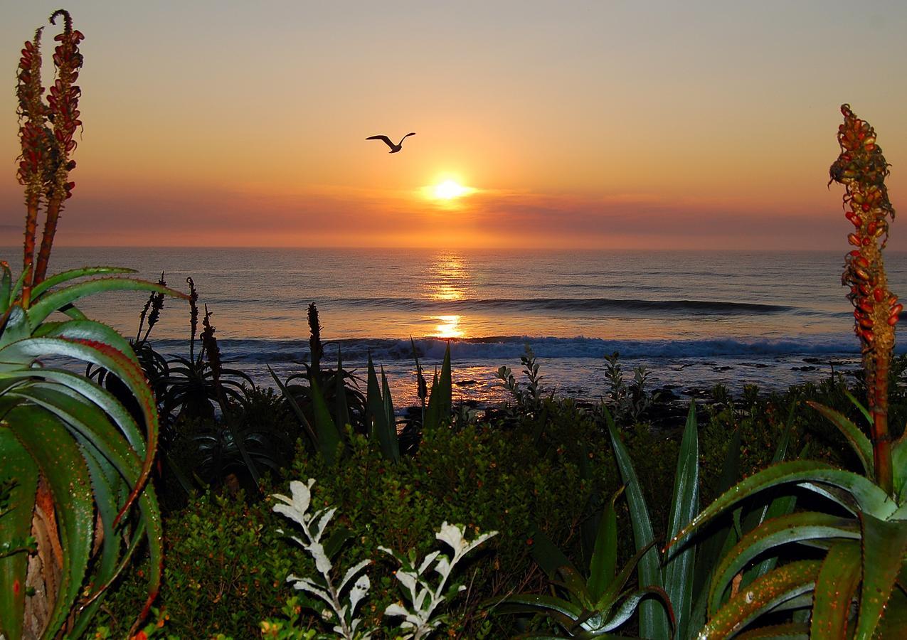 Aloe Again Hotel Jeffreys Bay Exterior photo